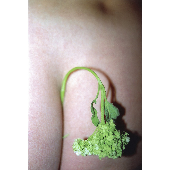 Paolo Topy Rossetto Photographer - Staring Flower 02