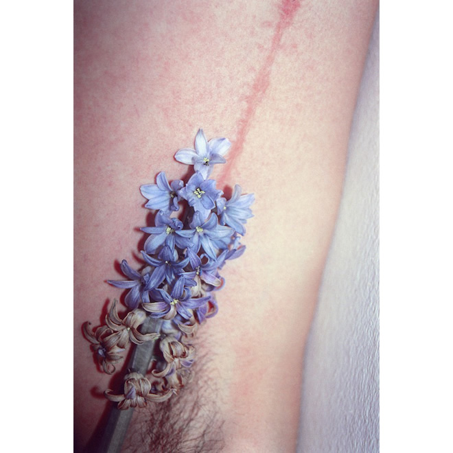 Paolo Topy Rossetto Photographer - Staring Flower 03