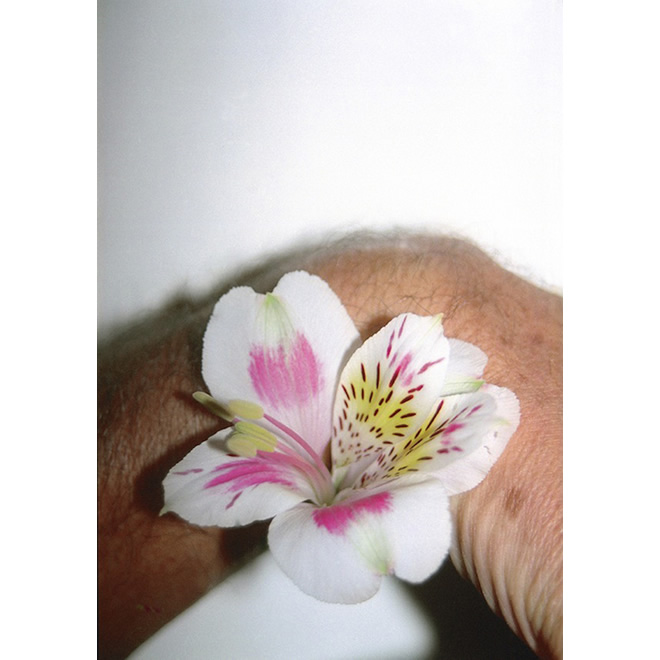 Paolo Topy Rossetto Photographer - Staring Flower 04