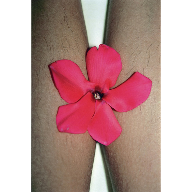 Paolo Topy Rossetto Photographer - Staring Flower 06