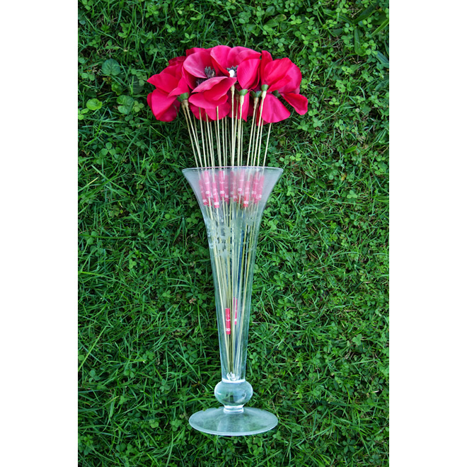 Paolo Topy Rossetto Photographer - Gift